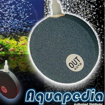 Air Stone/Batu Aerasi Bulat Pipih 15 cm