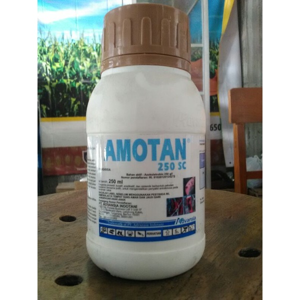 obat pertanian fungisida AMOTAN 250ml