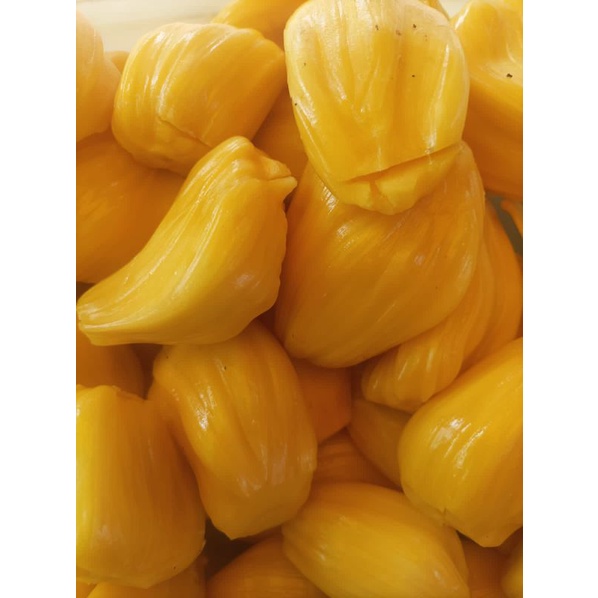 

Nangka Frozen