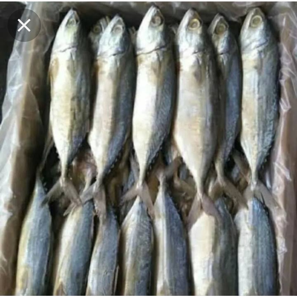 

IKAN ASIN PEDA FRESH 250 gram