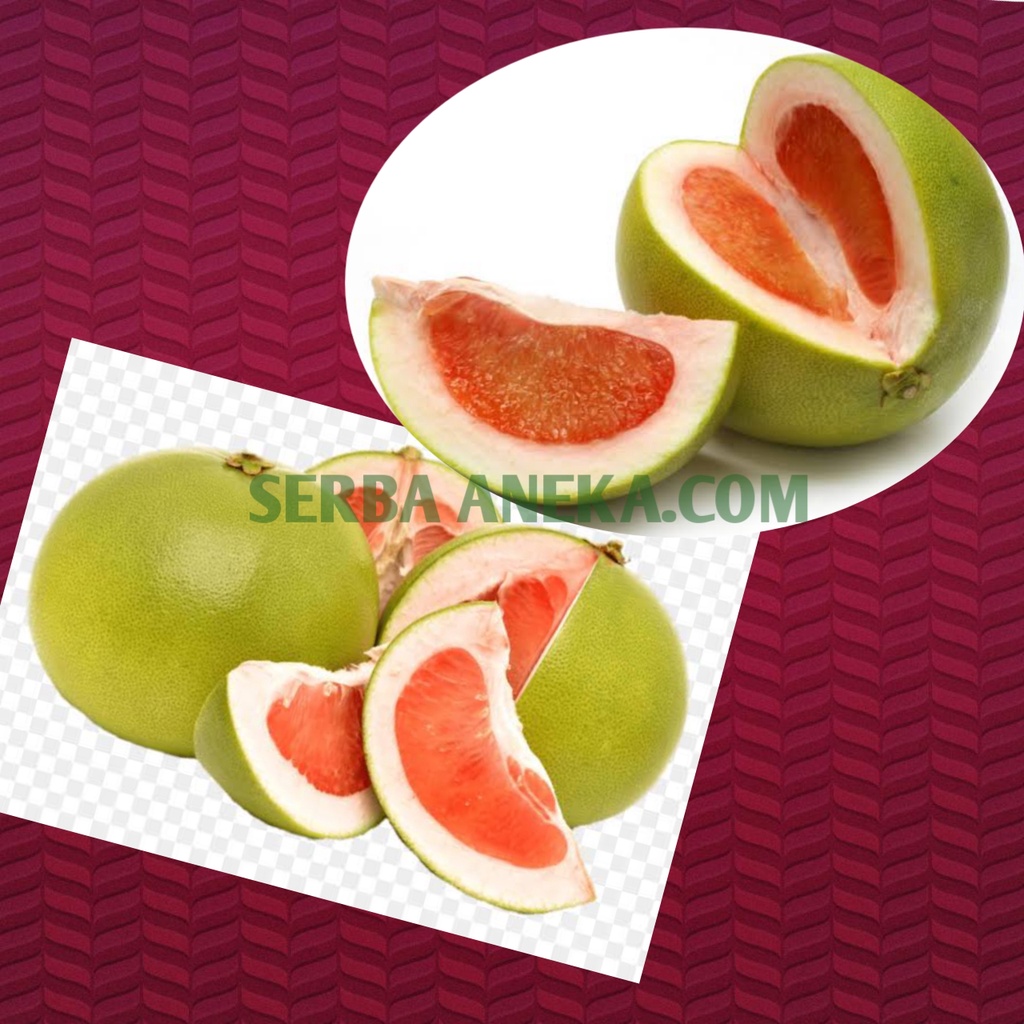 

Jeruk Palmelo Merah /Buah Jeruk Bali ( Per Biji)