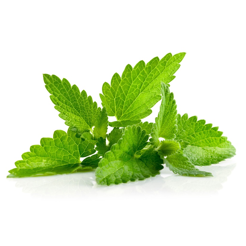 daun mentol peppermint mint pepper asli leaf 100g 100 g kesehatan tea