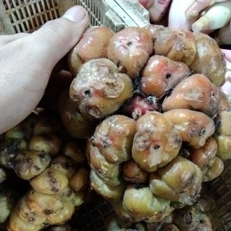 

Asam Cikala 500gram