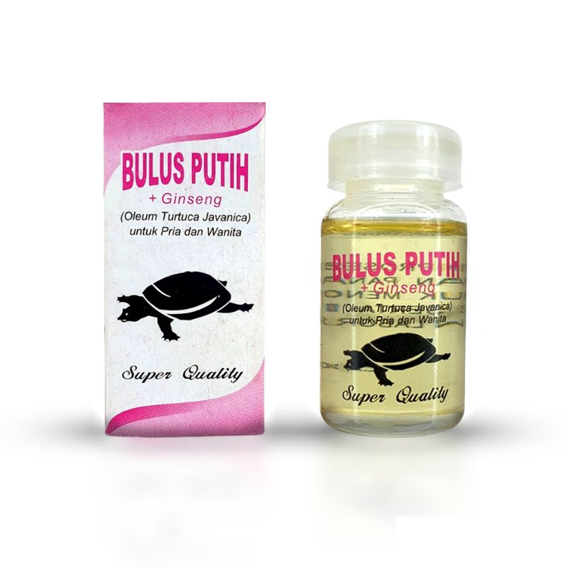Minyak Bulus Putih Asli Original