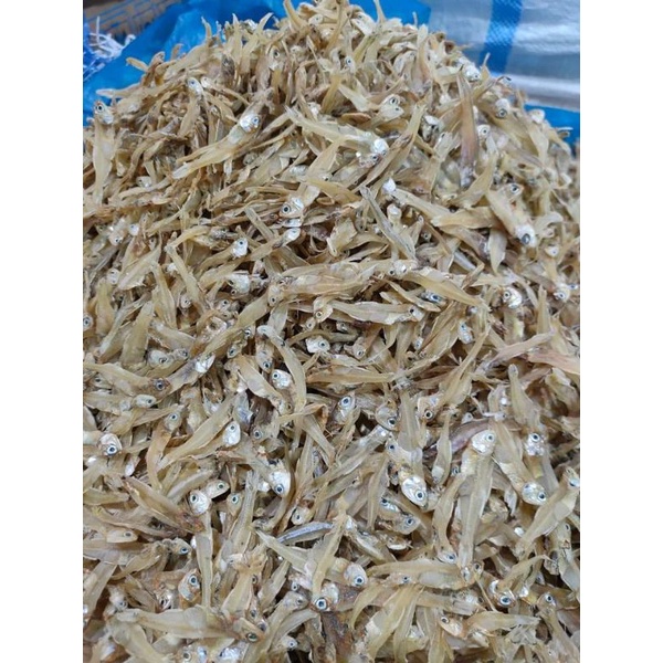 

Ikan Teri