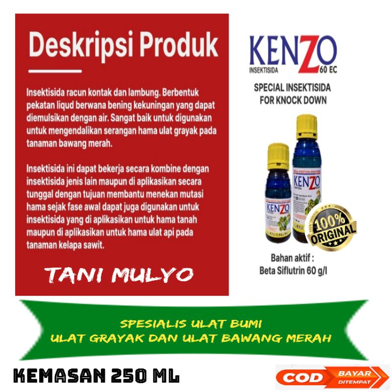 KENZO 60 EC 250 ML