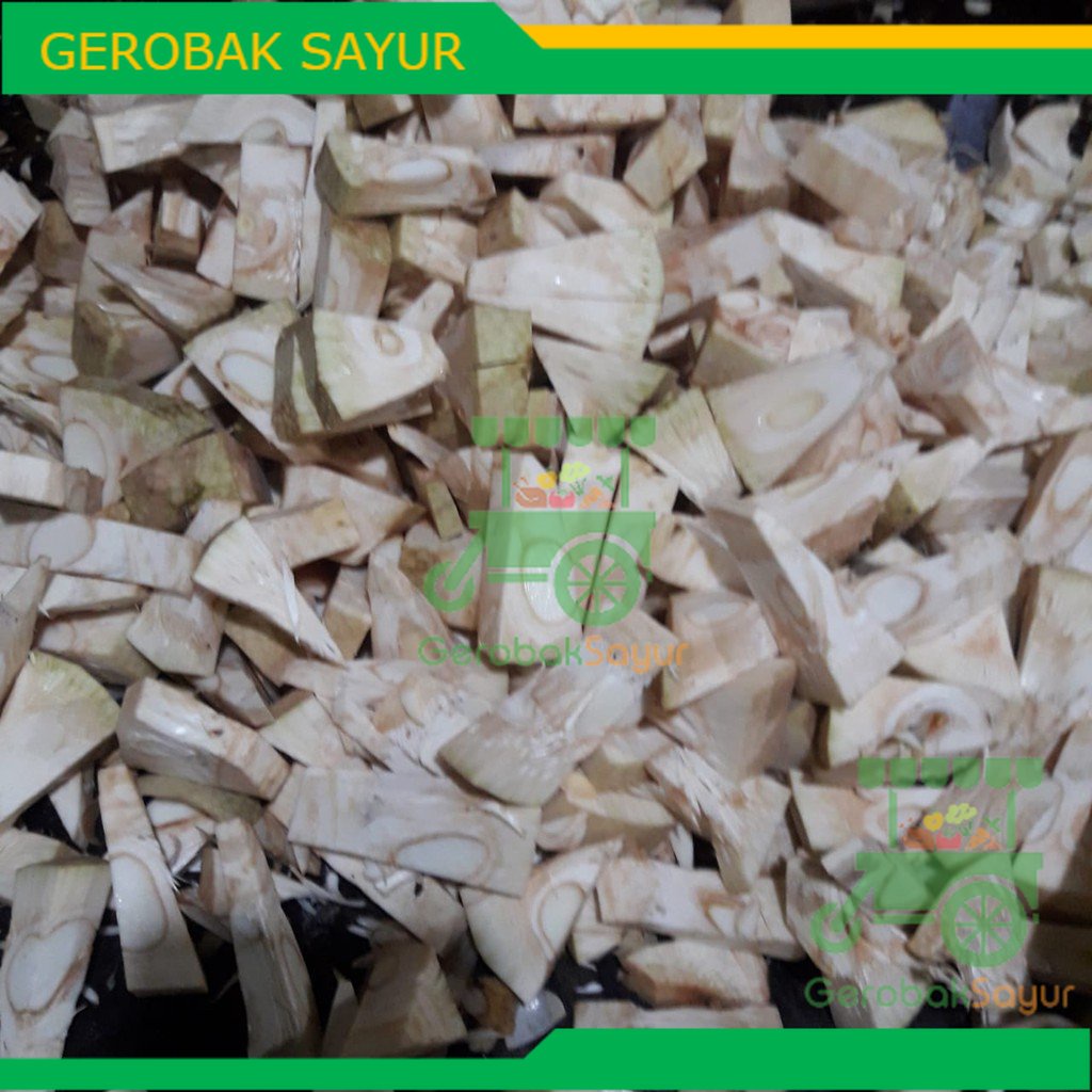 

Nangka Muda Kiloan