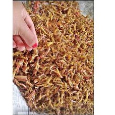 BELALANG GORENG KEMASAN 100GR