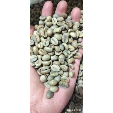 

GREENBEAN ROBUSTA G1