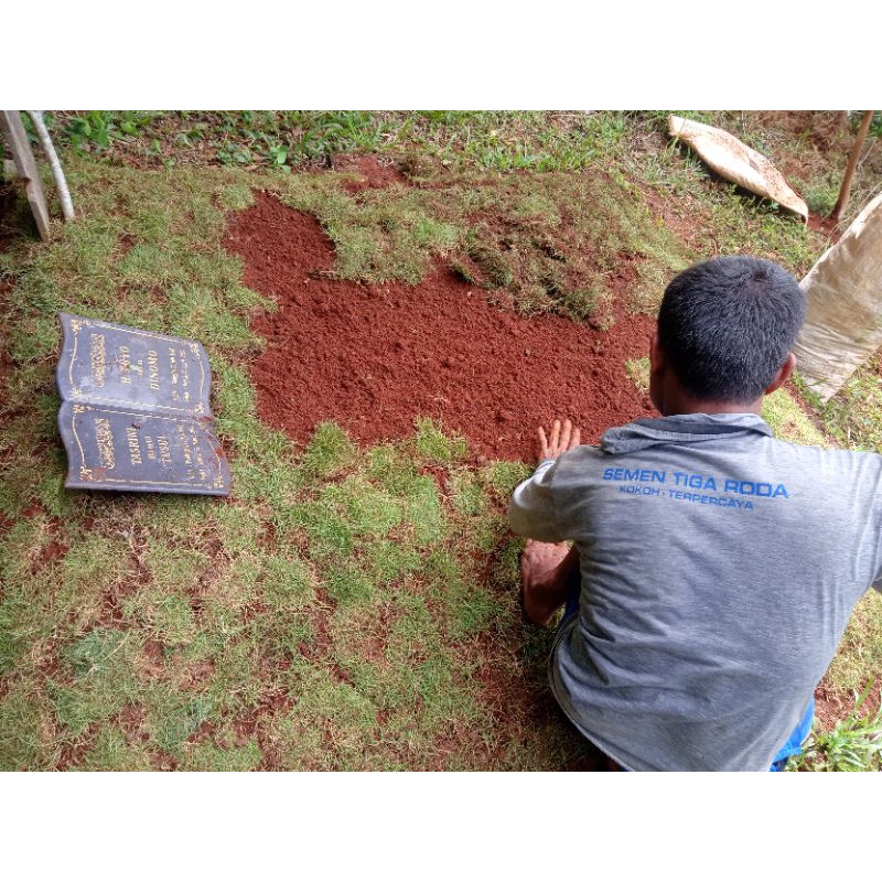 pemasangan rumput makam