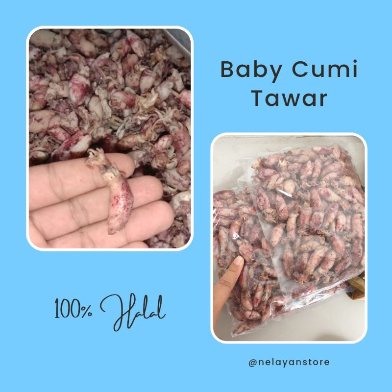 

Baby cumi tawar medan cumi tawar 500gr