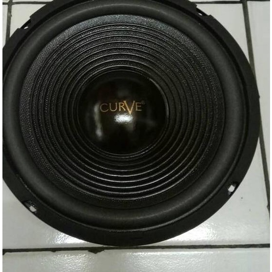 Speaker CURVE 10 Inch