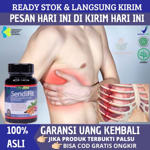 Obat Sakit Tulang Rusuk Kiri/Kanan, Obat Nyeri Tulang Rusuk, Sakit Tulang Iga, Obat Patah Tulang Rus