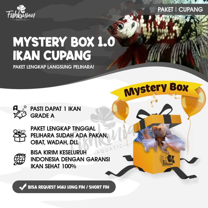 Mystery Box Ikan Cupang Fishkinian Official + Perlengkapan lengkap