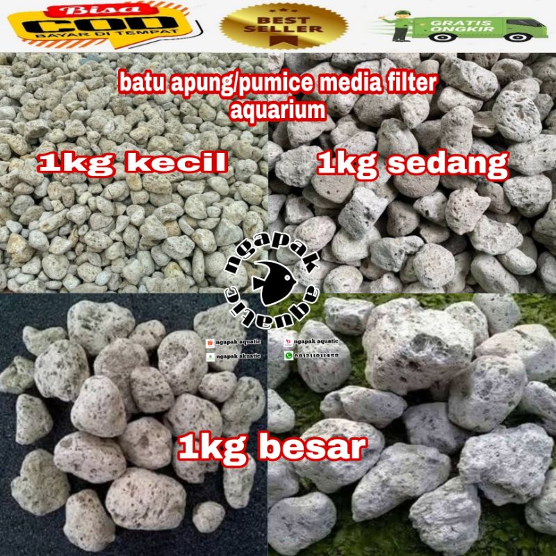 batu apung / batu pumice untuk media filter aquarium