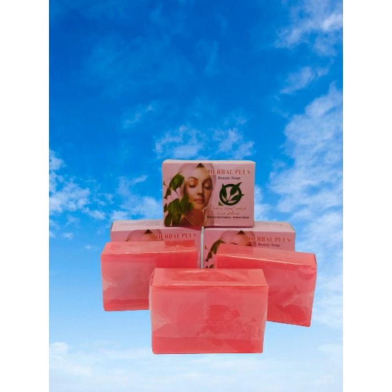 SABUN HERBAL PLUS ORIGINAL BPOM