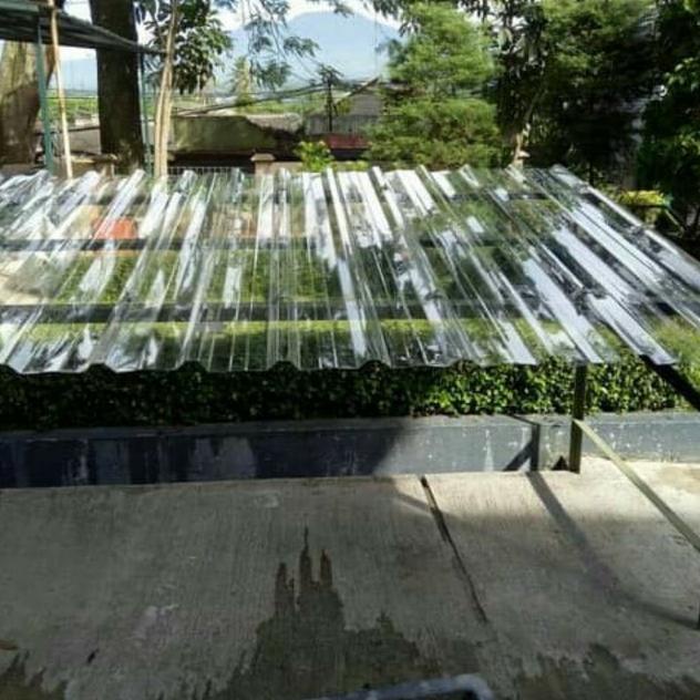 SPANDEK BENING / SPANDEK TRANSPARAN / TRIMDEK TRANSPARAN