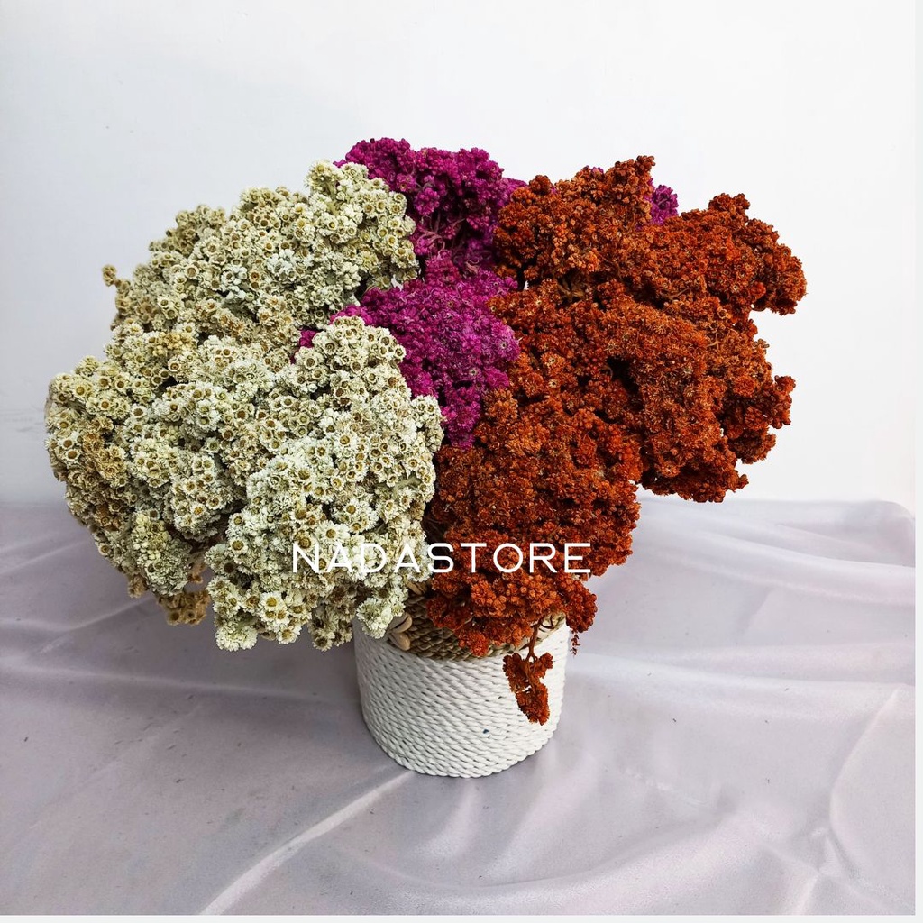 BUNGA KERING EDDELWISH ASLI / BUNGA KERING / BUKET BUNGA / DEKORASI RUSTIC