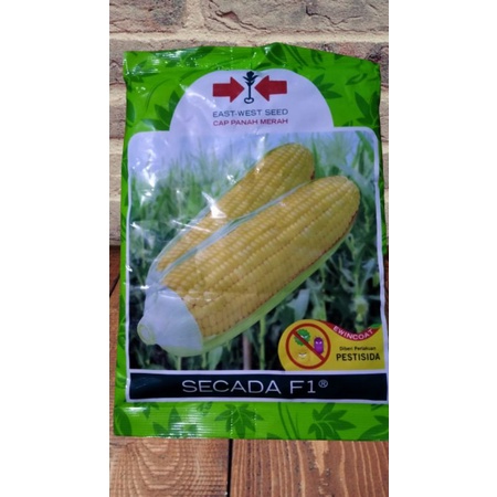 Benih Jagung SCADA F1 isi 1.800 butir