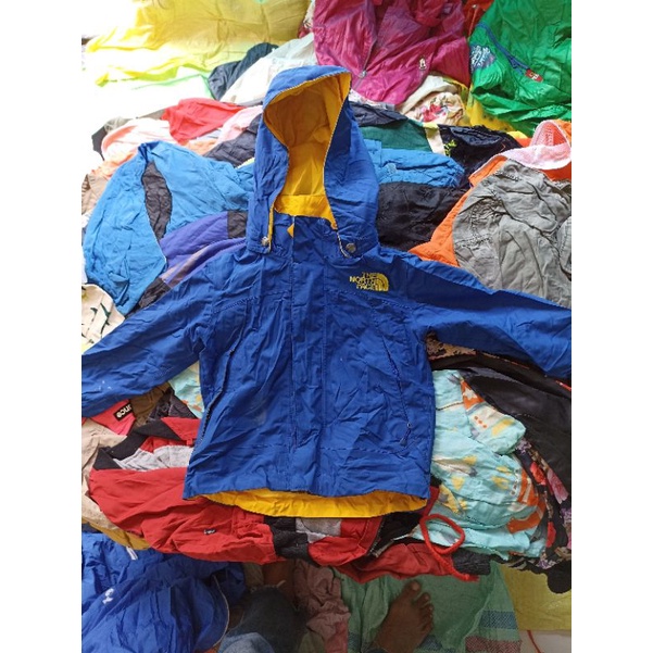 link live kargo 10kg