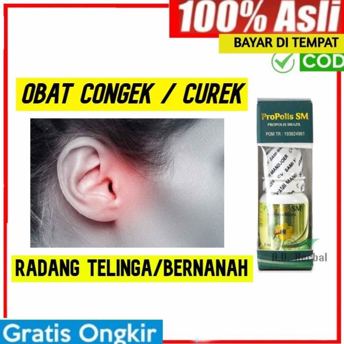 

TERLARIS Obat nyeri telinga berair bernanah & berbau - sakit telinga kiri/kanan /OBAT TELINGA BERDENGUNG/OBAT TELINGA BERAIR/OBAT TELINGA TERSUMBAT/OBAT TELINGA BUDEG/OBAT TELINGA BERNANAH