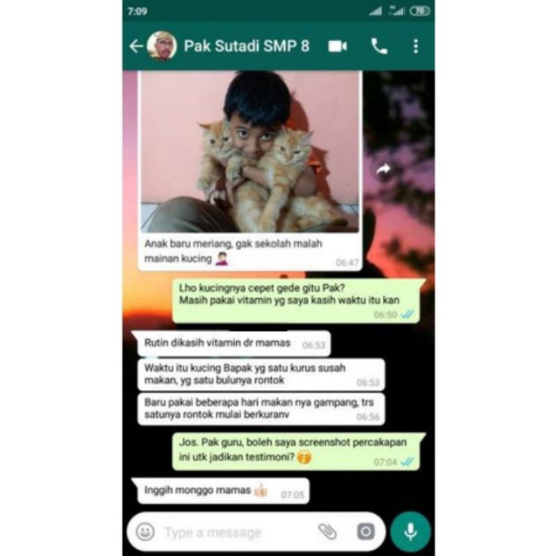 PRO LYSINE 50gr VITAMIN PENGGEMUK &amp; PEMUMBUH PELEBAT BULU KUCING ANABUL