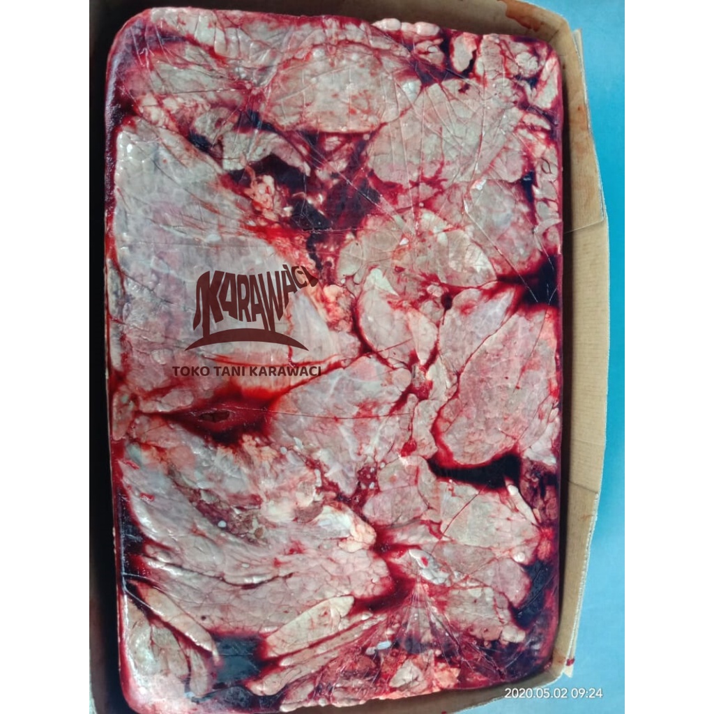 Daging Paru Sapi / Lung