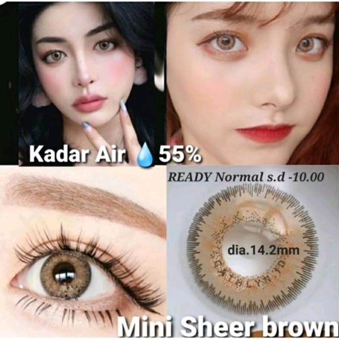 SOFTLENS MINI SHEER BROWN GRAY GREY SOFT LENS MINUS MURAH