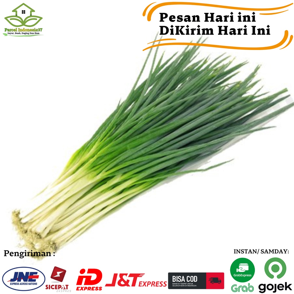 

Daun bawang segar pilihan pasar murah 100gr