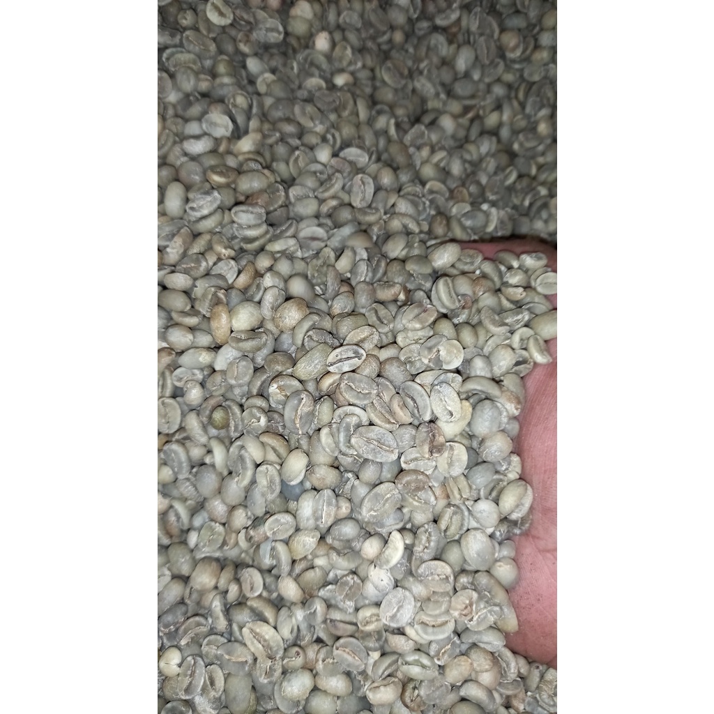 

Kopi Biji/Green Bean Arabika Flores Bajawa Grade 1 1Kg