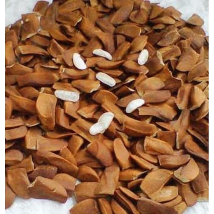 

new Biji Mahoni 200gram