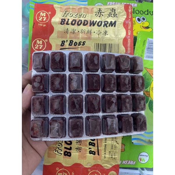 Cacing Beku Pioner Big Boss Merah Blood Warm BloodWarm 100Gr BOSS