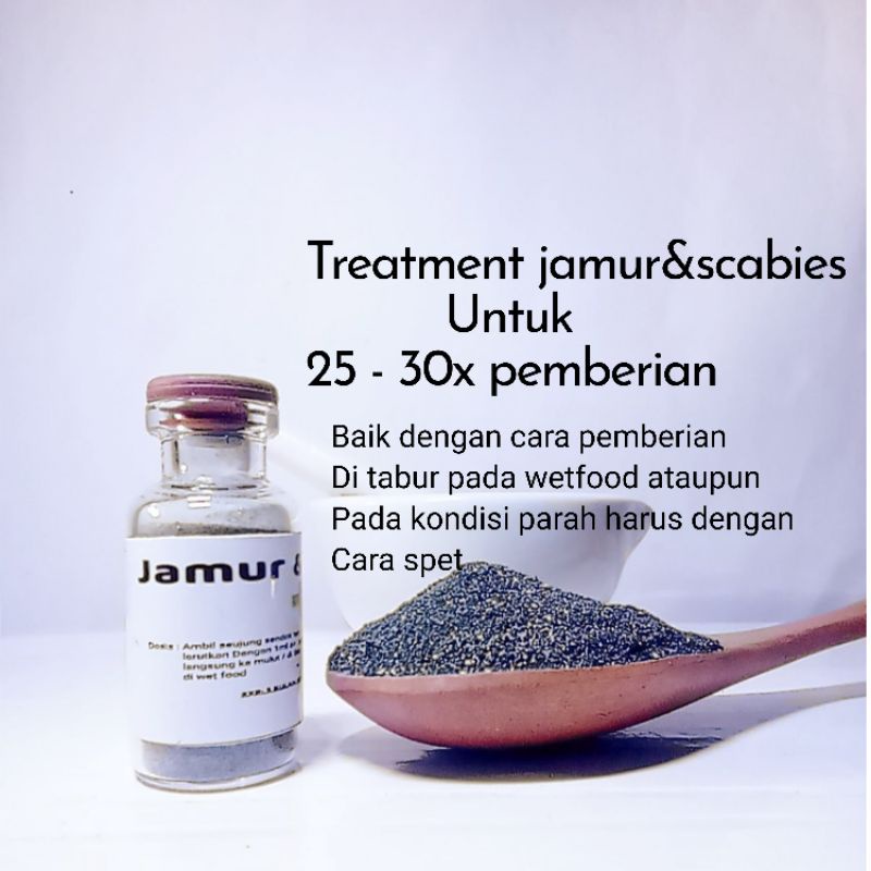 Obat Jamur kucing ampuh obat scabies kucing ampuh obat jamur scabies kucing ampuh obat jamur kucing terampuh obat jamur scabies kucing terampuh obat jamur kucing parah obat scabies parah