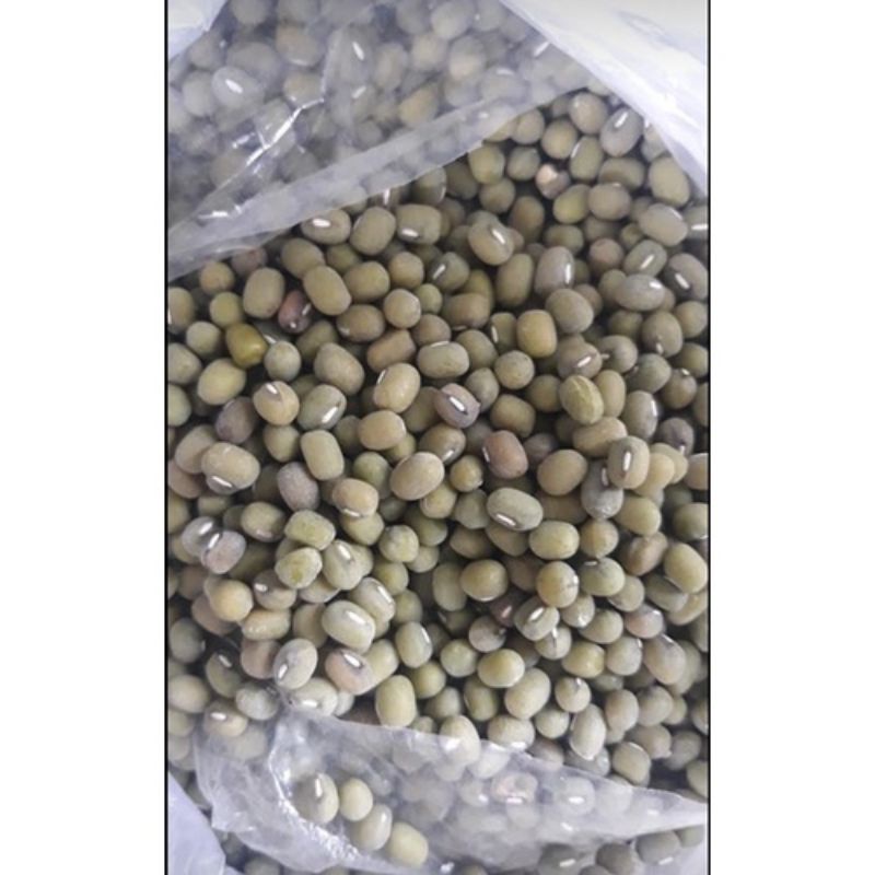 

KACANG HIJAU SUPER LOKAL (500gr)