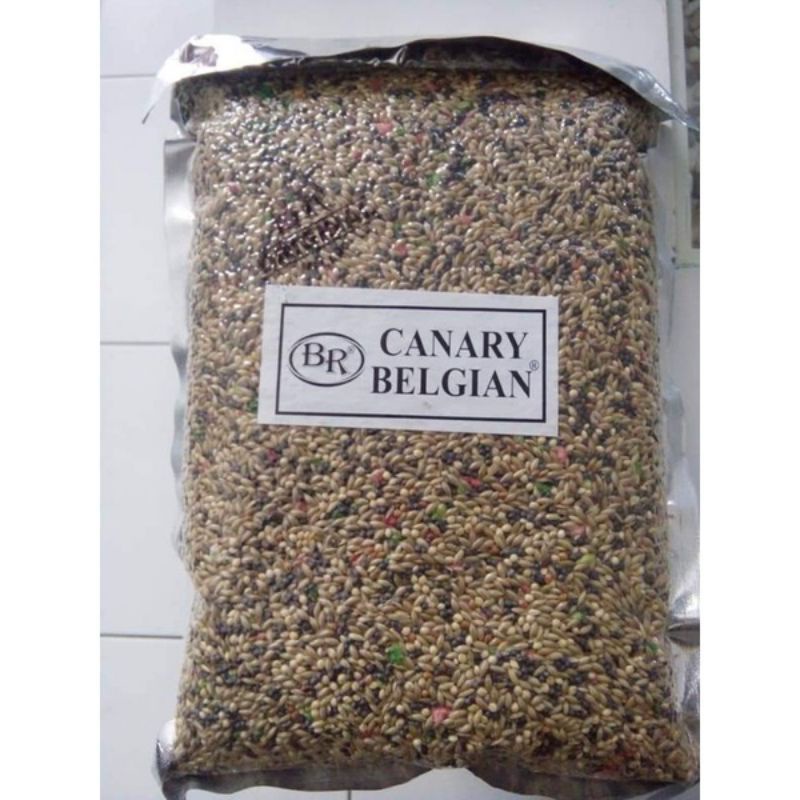 CANARY BELGIAN BR ORIGINAL KENARI BELGIE BRENGOS PAKAN BURUNG KENARI