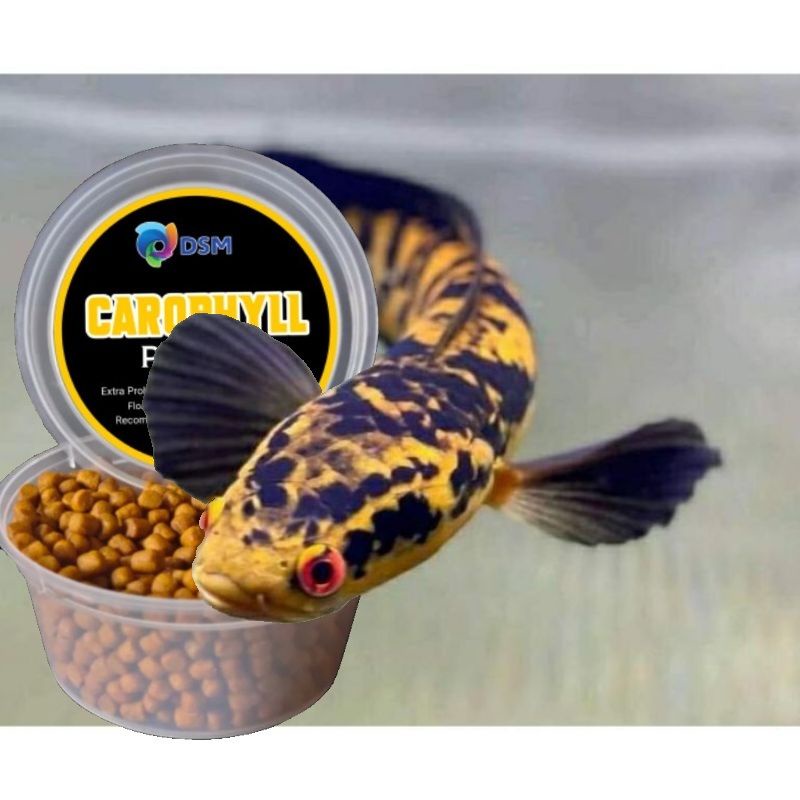 PELET CAROPHYLL YELLOW