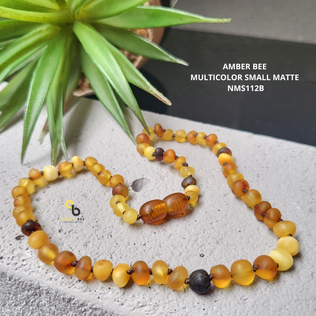 Kalung Amber Baltic Anak Tumbuh Gigi Multicolor Matte NMS112B by Amber Bee