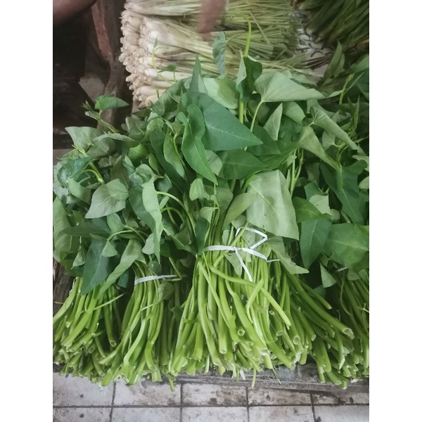 

ANEKA SAYURAN SEGAR DAUN DAUNAN