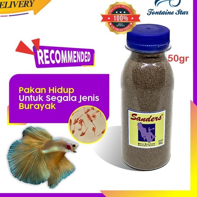 Artemia Sanders Biru 50Gram