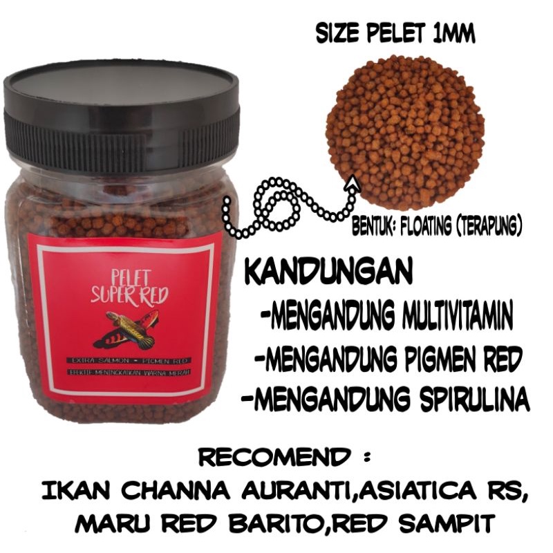 pelet Channa super red pakan ikan Channa auranti asiatica RS