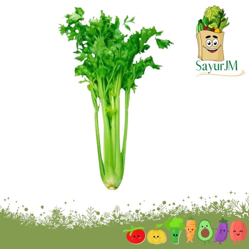 

SayurJM - Seledri Stick Lokal Fresh / 250gr / 500gr / Celery
