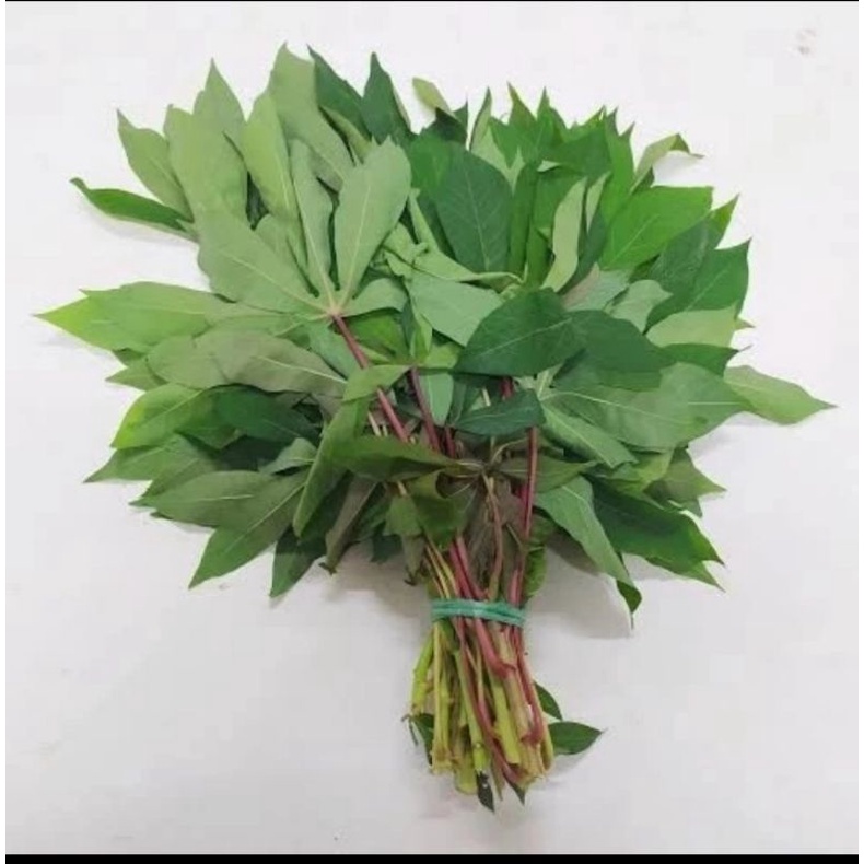 

sayur daun singkong 1 ikat