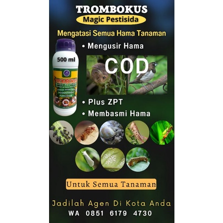 PESTISIDA/PESTISIDA ORGANIK/PUPUK/PUPUK ORGANIK/PUPUK ORGANIK CAIR/PENGENDALI HAMA/MENGATASI HAMA TI