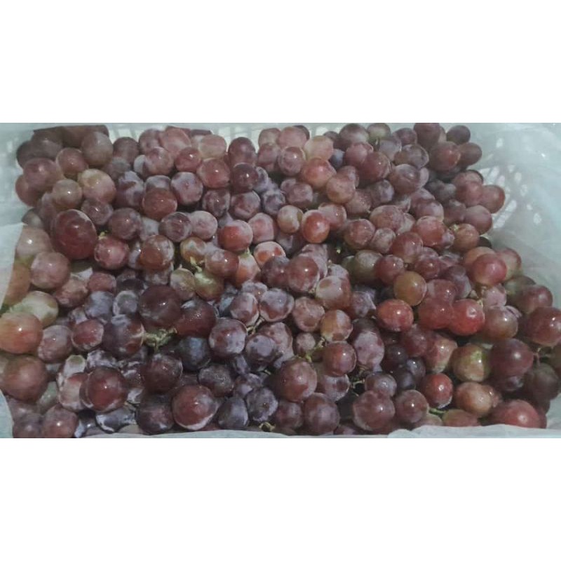 

anggur 1kg