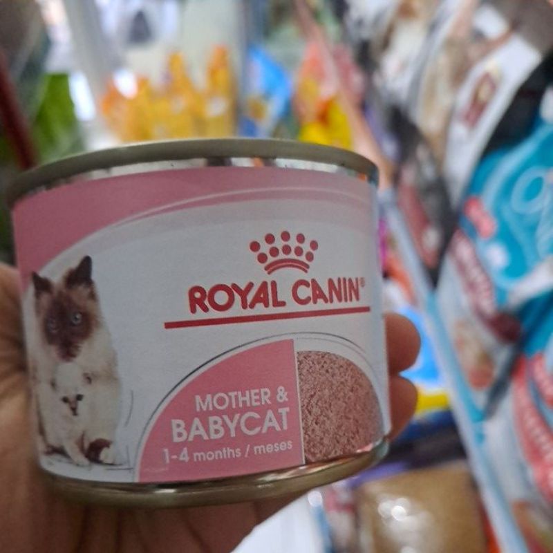Royal canin mother and baby cat kaleng