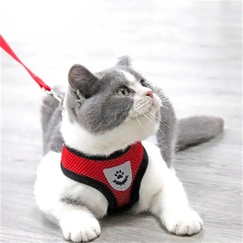 TALI HARNESS ANJING KUCING BAJU TALI TUNTUN KUCING TALI KUCING HARNESS ANJING ROMPI MUSANG brangus