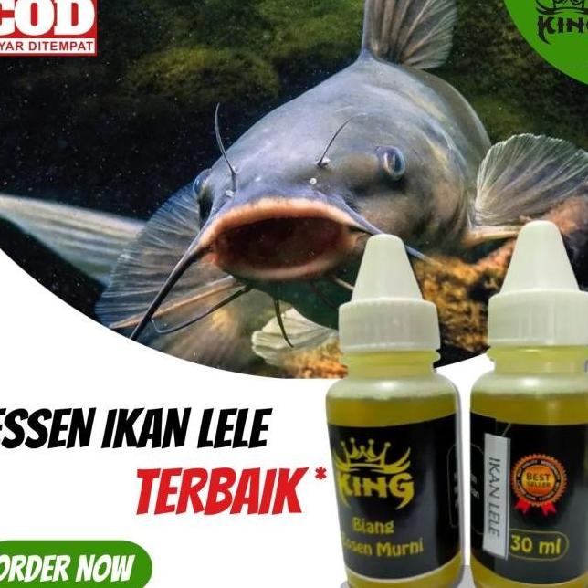 Essen Ikan LELE Terbaik 30ml Termurah-King Esen Premium