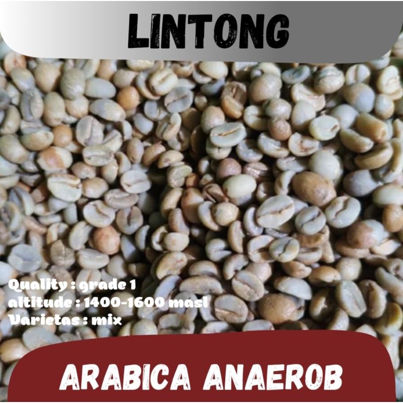 

biji kopi mentah ( greenbean ) arabica Lintong anaerob