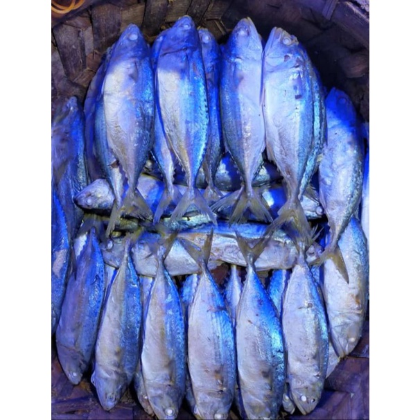 

Ikan Kembung Rebus Banjar Medan 3 Ekor