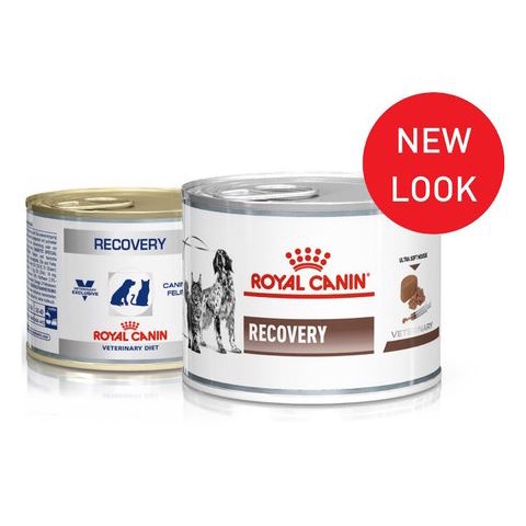 Royal Canin Recovery 196Gr / Makanan menambah energi Kucing Anjing Sakit/Lemas/Mencret/Muntah